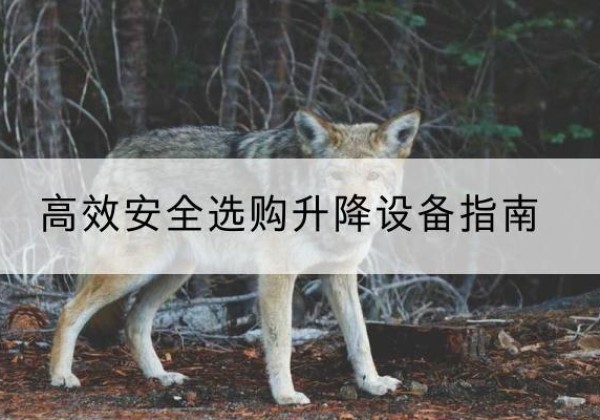 祁门升降货梯厂家推荐-*安全选购升降设备指南