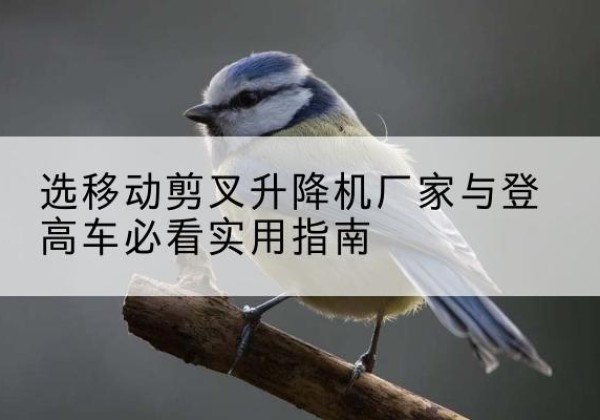 祁门电动升降机厂家-选移动剪叉升降机厂家与登高车必看实用指南