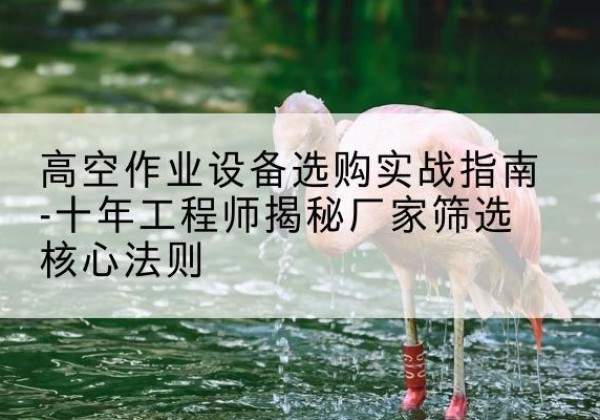祁门剪叉式升降机厂家-高空作业设备选购实战指南-十年工程师揭秘厂家筛选核心法则